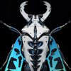 Avatar of Jonas_Hilschmann
