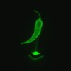 Avatar of Xorshift