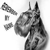 Sketchfab profile picture for @remember