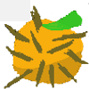 Avatar of PricklyOrange