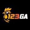 Avatar of 123gaink