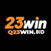 Avatar of q23winbid
