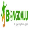Avatar of bongdaluvipnet1