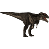 Avatar of GavMav05