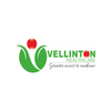 Avatar of vellinton