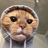Avatar of Bruh_Dylann