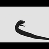Avatar of dococtopus