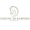 Avatar of Nicolene Di Bartolo Management Appointments CC