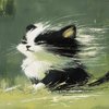 Avatar of garfeild