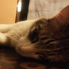 Avatar of Troncature