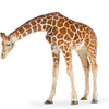 Avatar of sizecomparison2
