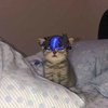 Avatar of blue28