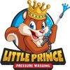 Avatar of Little Prince Pressure Washing