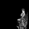 Avatar of Drummox