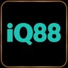 Avatar of iq88