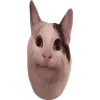 Avatar of kosenkovamasha2