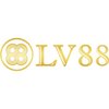 Avatar of lv88nyccom