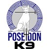 Avatar of Poseidon K9 Dog Training