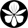 Avatar of Rachel Klyve