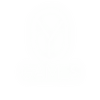 Avatar of omaryzgln