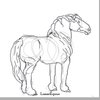 Avatar of lunarequus