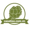 Avatar of Cao Atiso Đà Lạt
