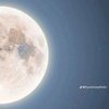 Avatar of Darkisralugu.Luna