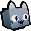 Avatar of TypicalTy