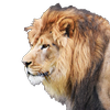 Avatar of urandom
