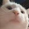 Avatar of Partexedd