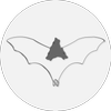 Avatar of 3BATS