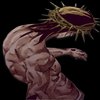 Avatar of ikerm8487