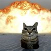 Avatar of MaizieM00