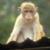 Avatar of jodwe1956