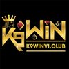 Avatar of K9WIN