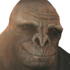 Avatar of joelandersson965