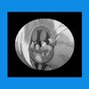 Avatar of KOOPALING_FAN