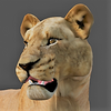 Avatar of Bromzii