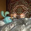 Avatar of Redisksanimation