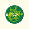 Avatar of bongvipcomde