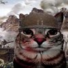 Avatar of squishcat