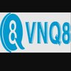 Avatar of vnq8vntech