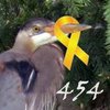 Avatar of peter_ko_454
