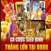 Avatar of U888