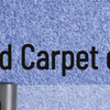 Avatar of Carpet cleaning Lakeland FL