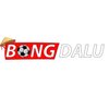 Avatar of bongdalu
