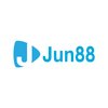 Avatar of Jun88 condaoairport