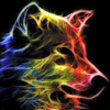 Avatar of ZAMOLXE
