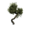 Avatar of MatDesign3D