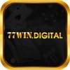 Avatar of 77windigital1